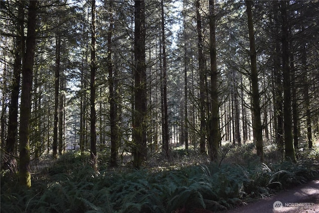 0105.33 Lincoln Creek Rd, Rochester, WA 98579 - photo 25