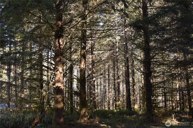0105.33 Lincoln Creek Rd, Rochester, WA 98579 - photo 26