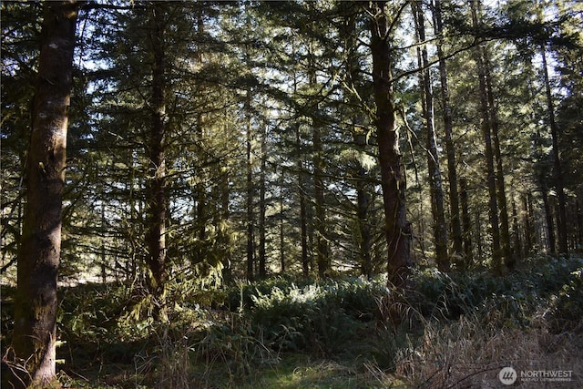 0105.33 Lincoln Creek Rd, Rochester, WA 98579 - photo 27