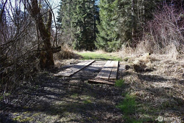 0105.33 Lincoln Creek Rd, Rochester, WA 98579 - photo 28