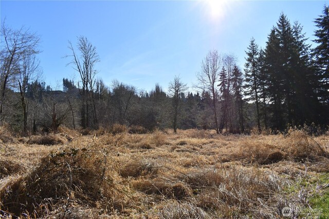 0105.33 Lincoln Creek Rd, Rochester, WA 98579 - photo 29