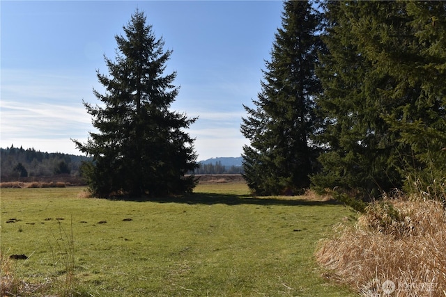 0105.33 Lincoln Creek Rd, Rochester, WA 98579 - photo 30