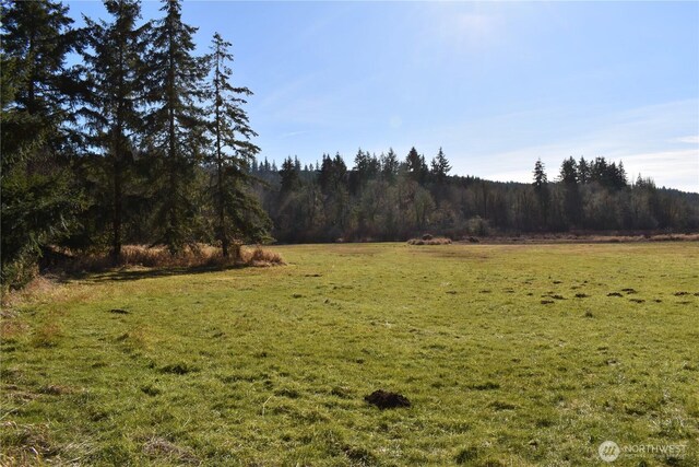 0105.33 Lincoln Creek Rd, Rochester, WA 98579 - photo 31