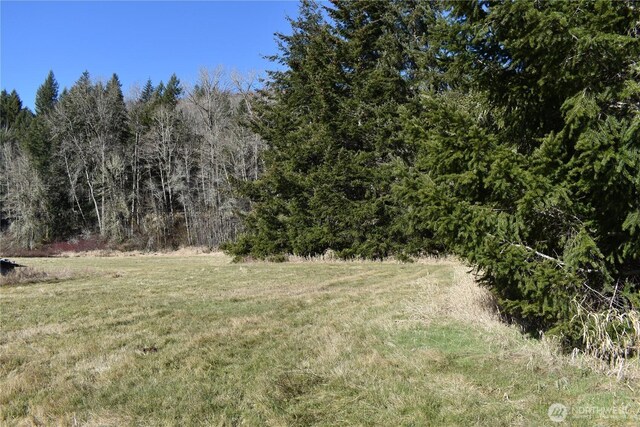 0105.33 Lincoln Creek Rd, Rochester, WA 98579 - photo 32