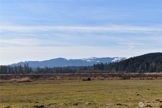 0105.33 Lincoln Creek Rd, Rochester, WA 98579 - photo 33