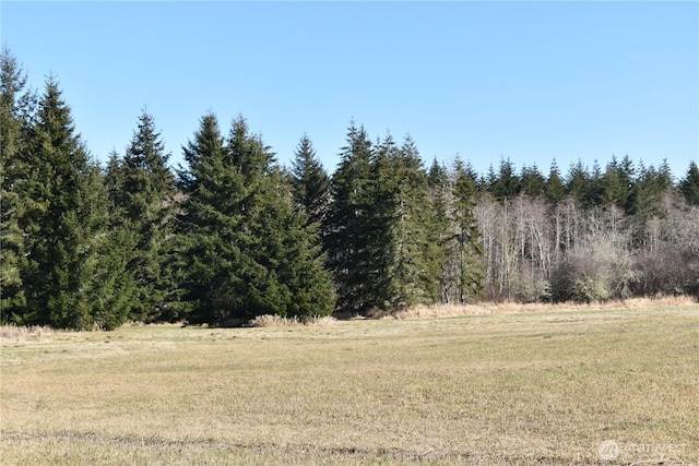 0105.33 Lincoln Creek Rd, Rochester, WA 98579 - photo 34