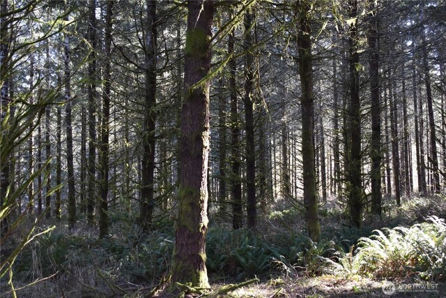 0105.33 Lincoln Creek Rd, Rochester, WA 98579 - photo 36