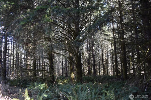 0105.33 Lincoln Creek Rd, Rochester, WA 98579 - photo 37