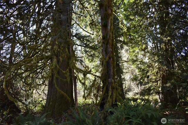 0105.33 Lincoln Creek Rd, Rochester, WA 98579 - photo 38