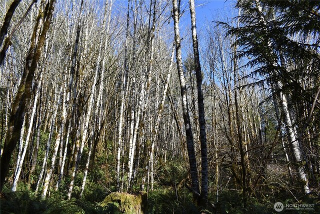 0105.33 Lincoln Creek Rd, Rochester, WA 98579 - photo 39