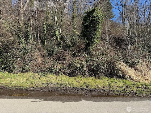 1906 28th Ave S, Seattle WA, 98144 land for sale