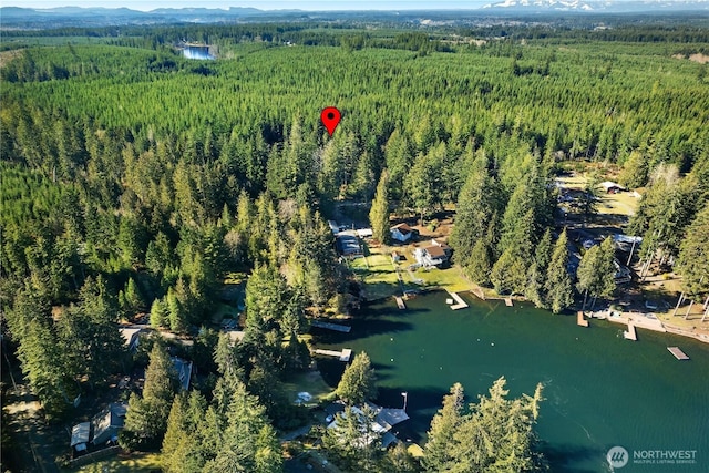 Listing photo 3 for 1651 E Phillips Lake Loop Rd, Shelton WA 98584