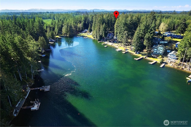 1651 E Phillips Lake Loop Rd, Shelton WA, 98584 land for sale