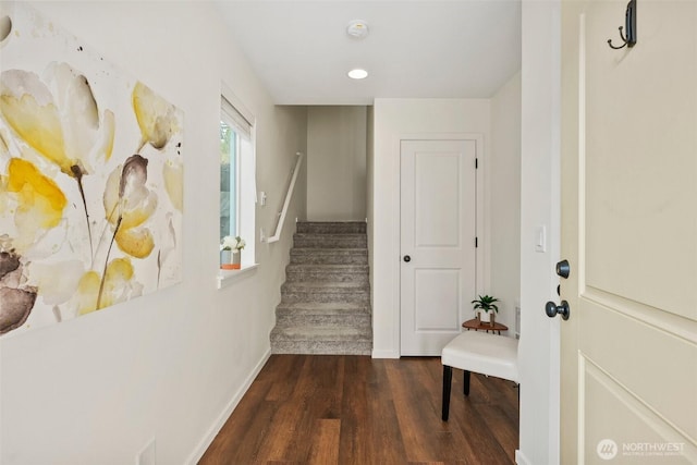 interior space with wood-type flooring