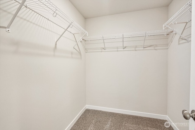 walk in closet with carpet