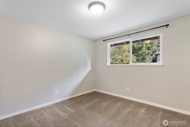 empty room featuring carpet floors