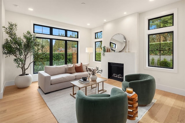 living room featuring light hardwood / wood-style floors