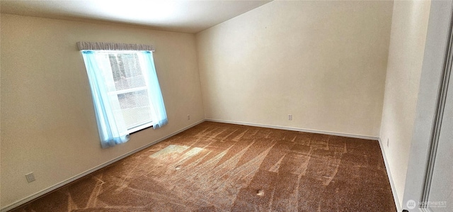 spare room with carpet