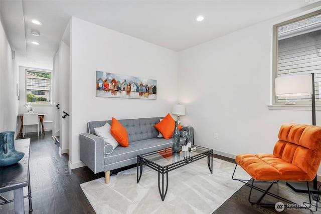 living room featuring hardwood / wood-style flooring