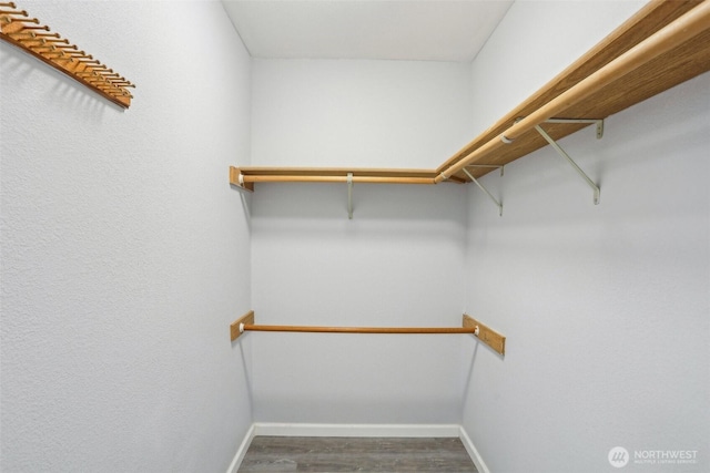 walk in closet featuring wood finished floors