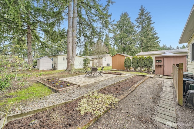 view of yard with a storage shed and a patio