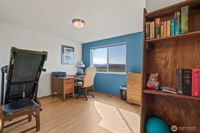 office with light wood-style floors