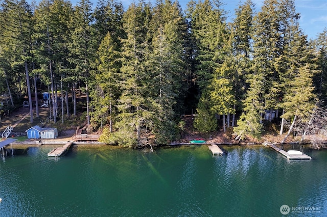 2820 E Phillips Lake Loop Rd, Shelton WA, 98584 land for sale