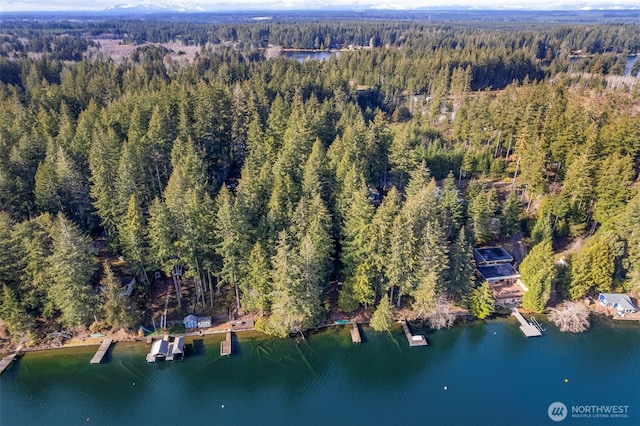 Listing photo 2 for 2820 E Phillips Lake Loop Rd, Shelton WA 98584