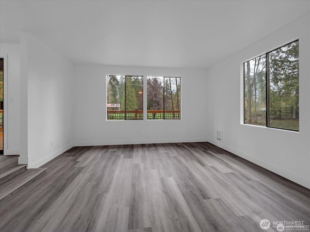 spare room with light hardwood / wood-style floors and a wealth of natural light