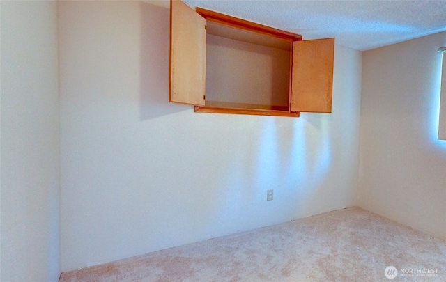 unfurnished room featuring light carpet