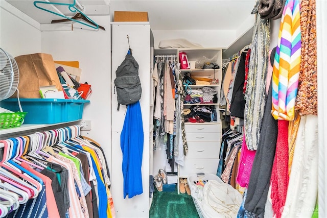 view of walk in closet