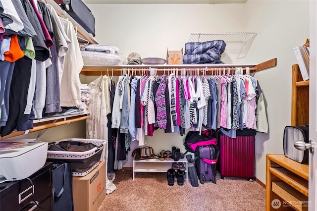 spacious closet with carpet