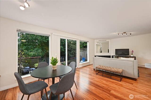 220 SW 200th St Unit 186, Normandy Park, WA 98166 - dining area with plenty of natural light, light wood-style floors, a baseboard radiator, and rail lighting