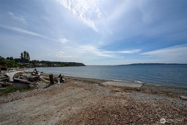 220 SW 200th St Unit 186, Normandy Park, WA 98166 - water view featuring nearby beach
