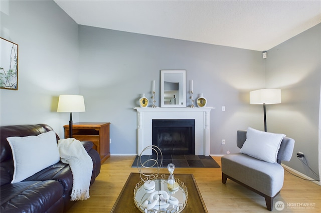 living room with light wood-type flooring