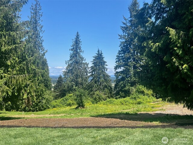 13519 102nd Dr SE Unit 16, Snohomish, WA 98296 - view of undeveloped land