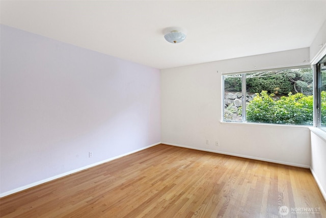 empty room with plenty of natural light and light hardwood / wood-style floors