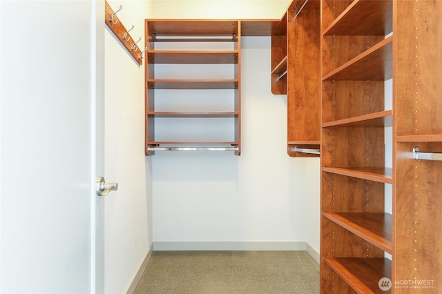 walk in closet featuring carpet