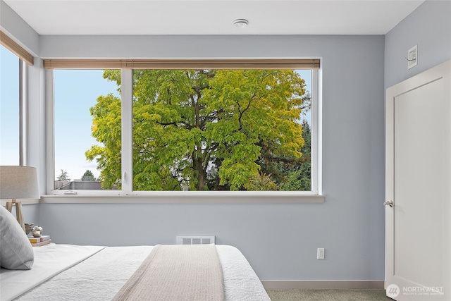 bedroom featuring baseboards and visible vents