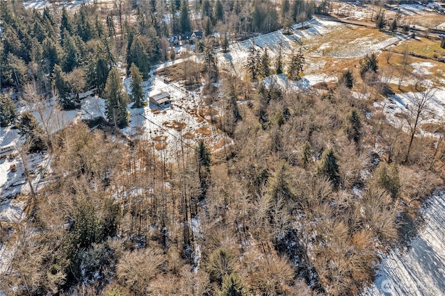 28622 SE 434th St, Enumclaw, WA 98022 - view of snowy aerial view