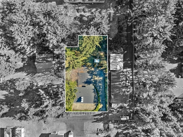 1508 Hoquiam Ln S, Westport, WA 98595 - bird's eye view