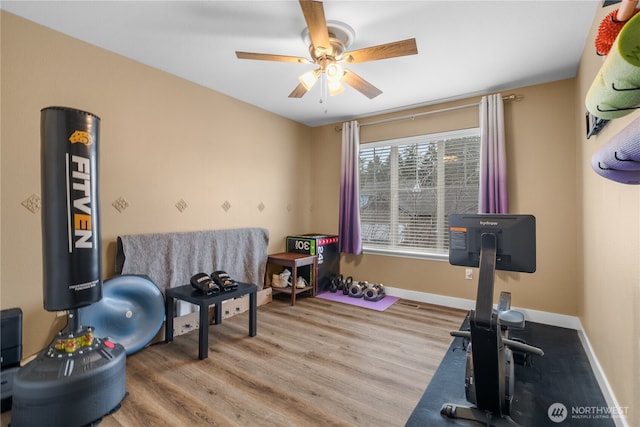 exercise area featuring ceiling fan and light hardwood / wood-style floors