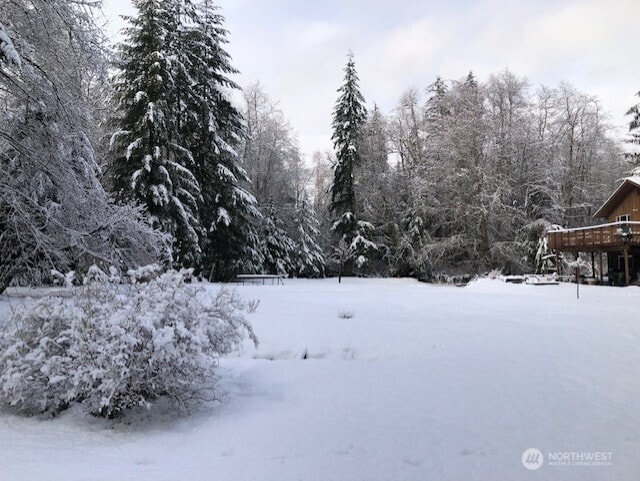 view of snowy yard