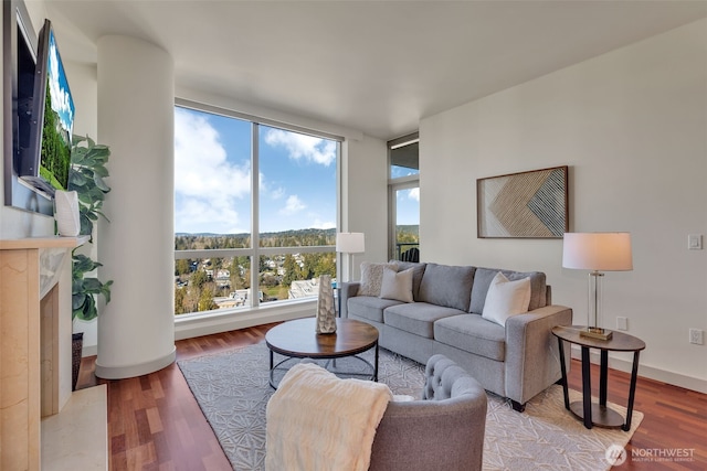 living room featuring hardwood / wood-style flooring, a wall of windows, and a fireplace