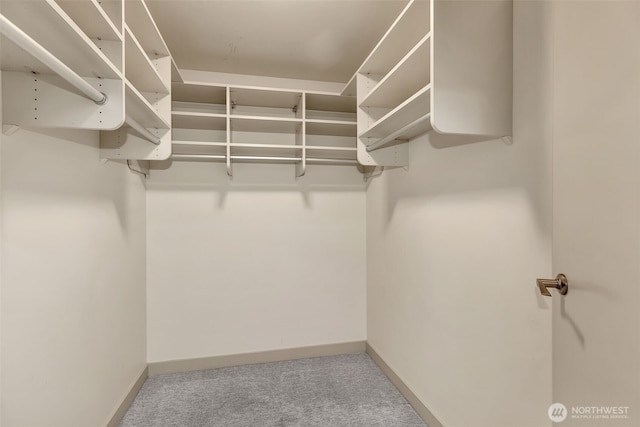 spacious closet featuring carpet floors