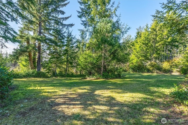 21329 Birch Pl, Ocean Park WA, 98640 land for sale