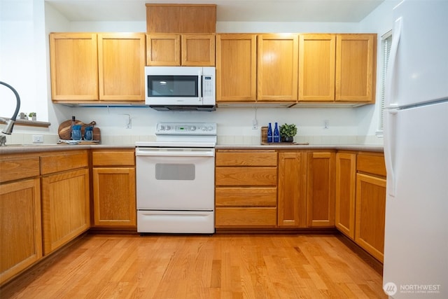 kitchen with white appliances and light hardwood / wood-style flooring