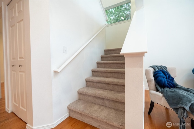 stairs with wood-type flooring