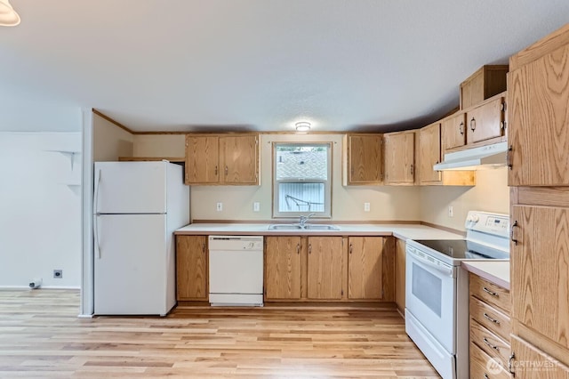 kitchen featuring white appliances, light wood finished floors, light countertops, under cabinet range hood, and a sink