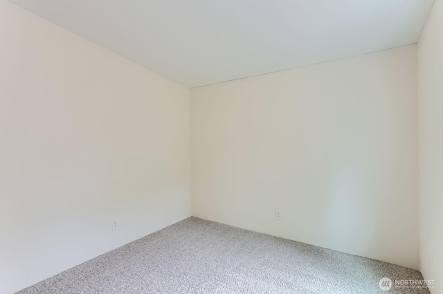 spare room featuring carpet flooring